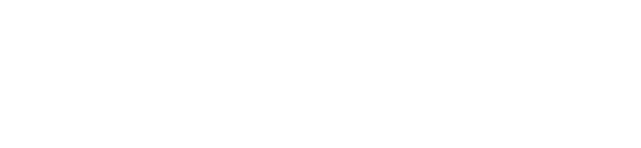 Ni no Kuni: Cross Worlds
