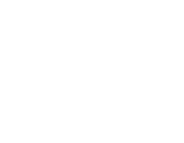 Solo Leveling: ARISE